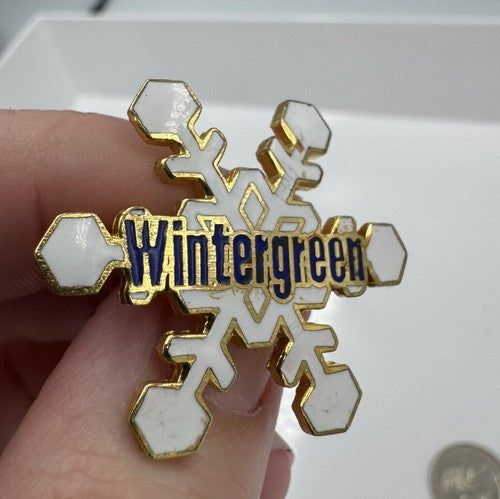 Wintergreen Ski Resort Virgina White Blue Snowflake Ski Pin
