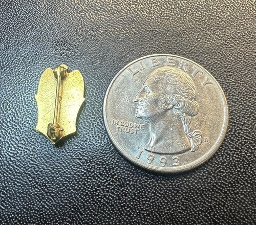 Unique FOE Fraternal Order of Eagles Pin Likely Gold Filled