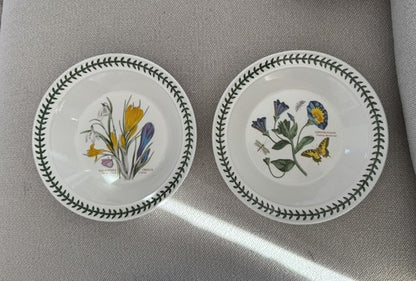 Portmeirion Botanic Garden Porcelain 8.5” Rim Soup/Pasta Bowls Set of 2