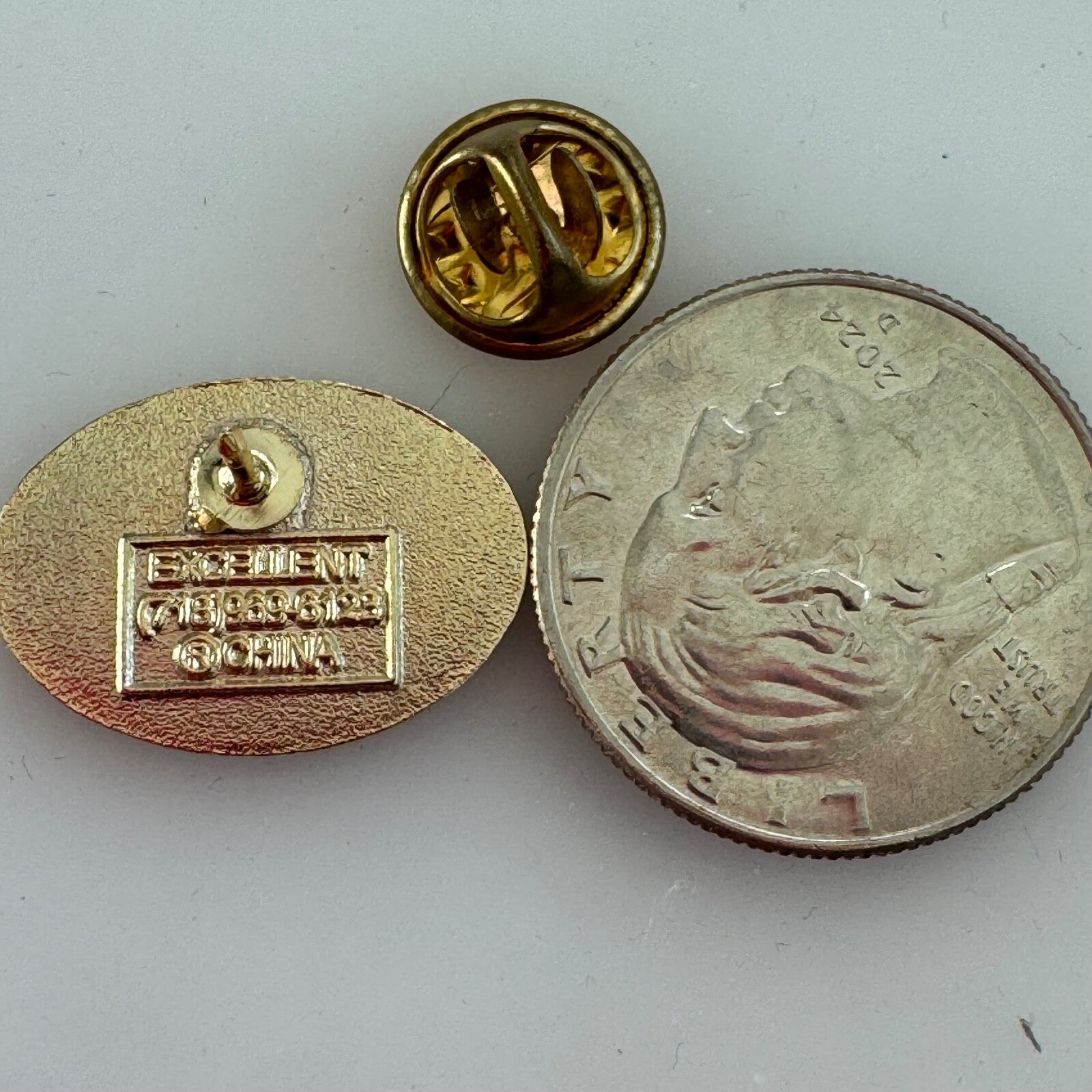 Lions Strengthen the Pride Lapel Pin