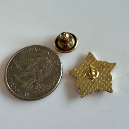 Vintage Branson Missouri Star Acoustic Guitar Cowboy Hats Lapel Pin Souvenir
