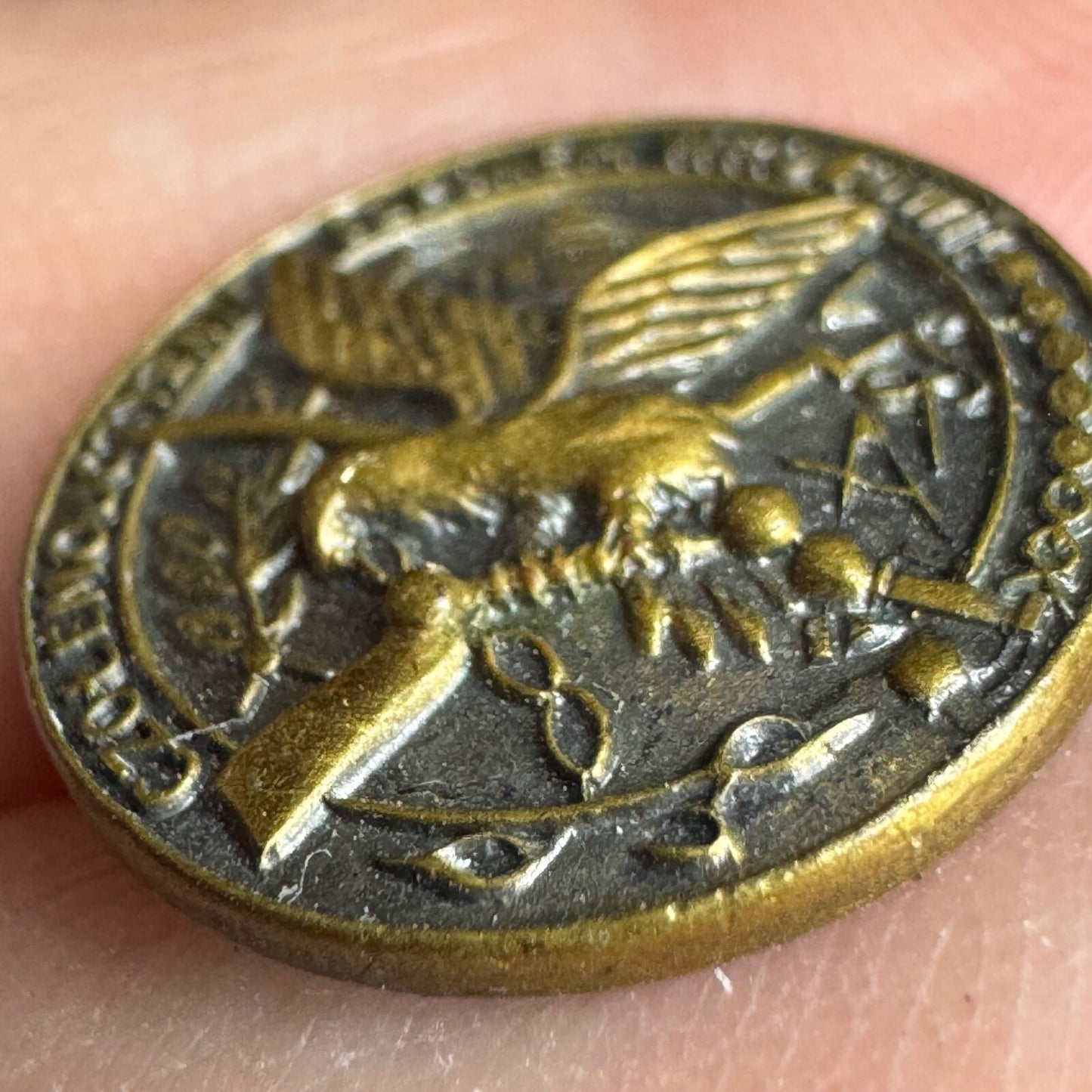 Polish Association Lapel Pin Czolem Ojczyznie Szponem Wrogowi Poland
