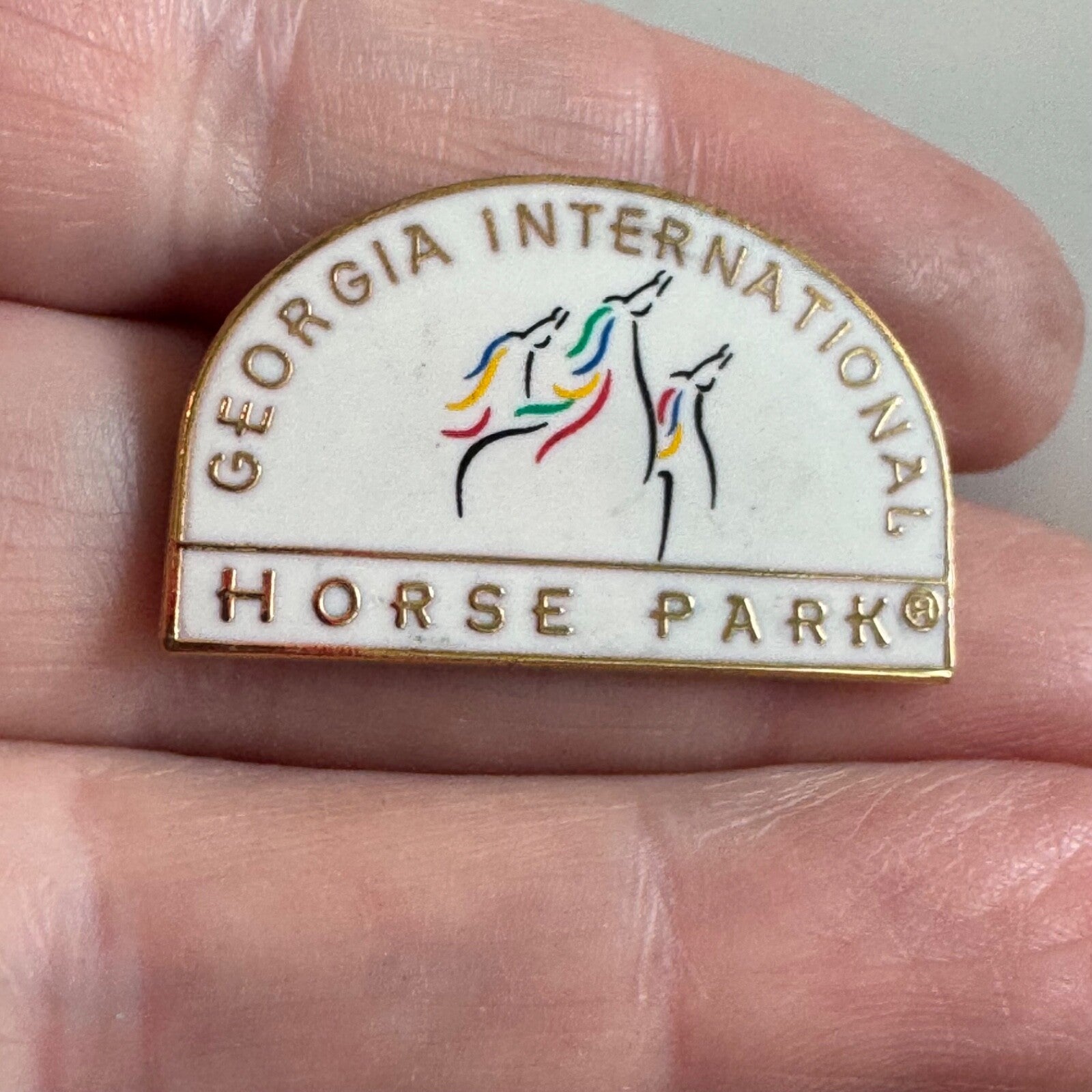 Georgia International Horse Park Lapel Pin Logo