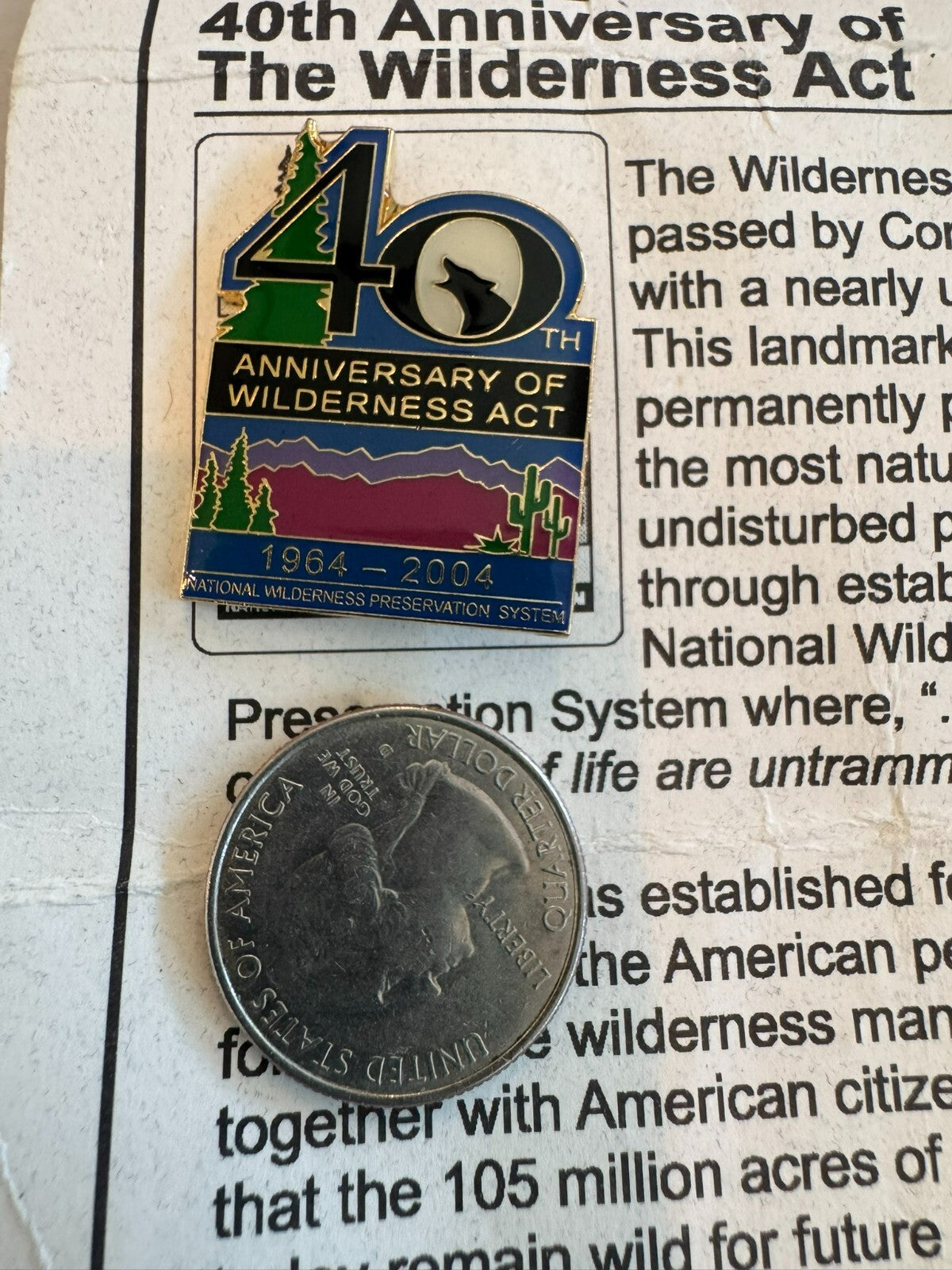 Vintage 40th Anniversary of the Wilderness Act Souvenir Lapel Pin 2004