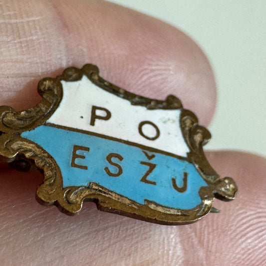 Antique PO ESZJ Lapel Pin Fraternal Political Poland? Czech?