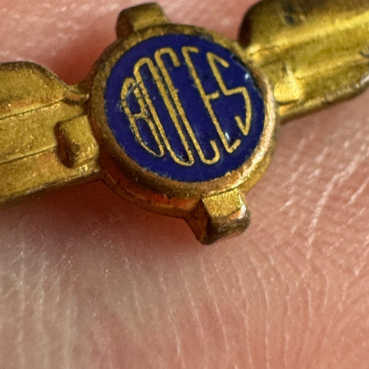 RARE Vtg New York State Boards of Cooperative Education Services BOCES Wings Pin