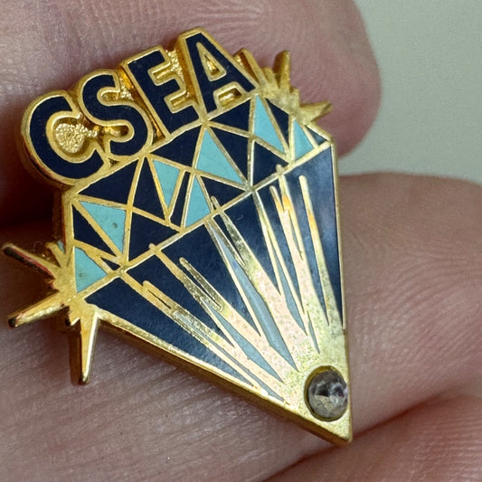 Vintage California School Employees Assn CSEA Union Achievement Award Pin