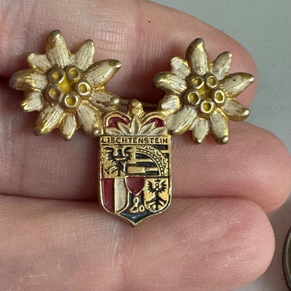 Vintage Liechtenstein Edelweiss Crest Enamel Travel Pin
