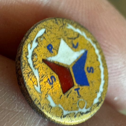 RARE Vintage SPJST Texas Czech Society Lapel Pin Screw Back