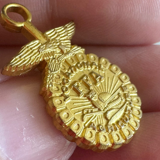 Vintage State FFA Degree Key Pin Vocational Agriculture