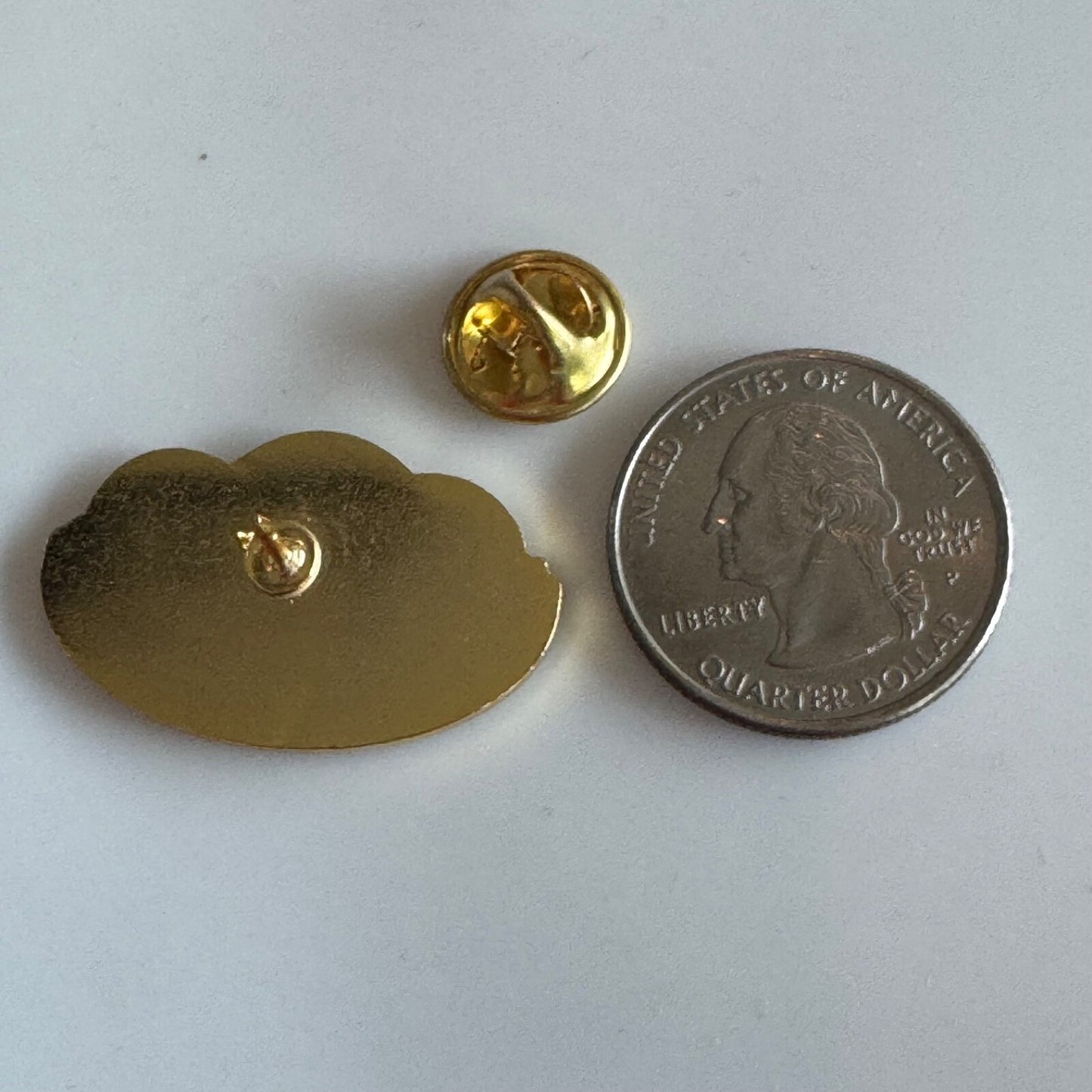 Rural Municipality of Gimli 125 Years Canada Lapel Pin Anniversary ]Manitoba