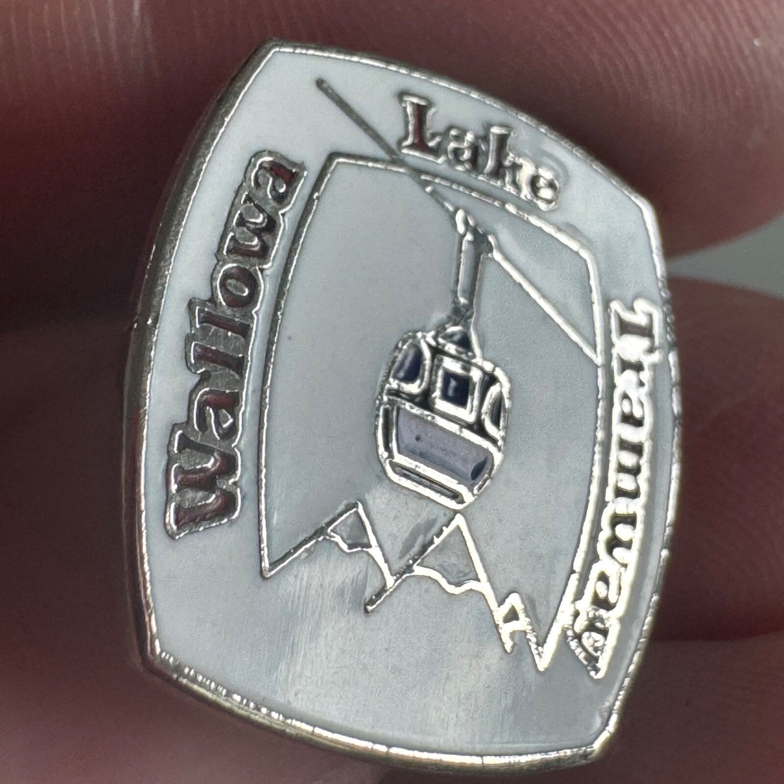 Vintage Wallowa Lake Tramway Lapel Pin Gondola Oregon