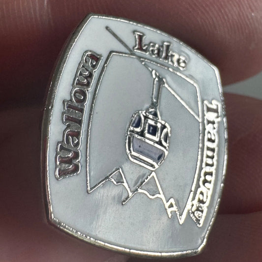 Vintage Wallowa Lake Tramway Lapel Pin Gondola Oregon