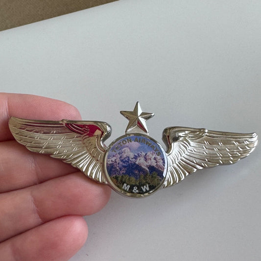 Vintage Teton Airways M&W Silver Tone Wings with Star Pin 