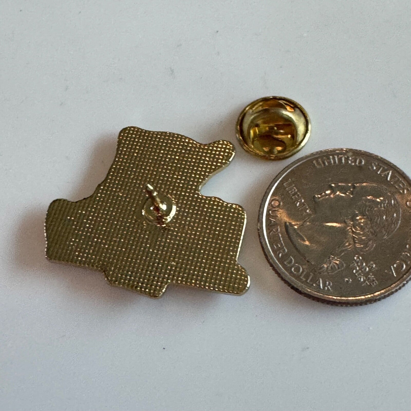 Vintage Virginia The Old Dominion State Souvenir Tourist Lapel Pin
