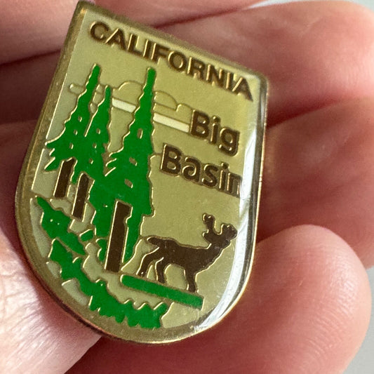 California Big Basin Redwoods State Park Souvenir Tourist Lapel Pin CA