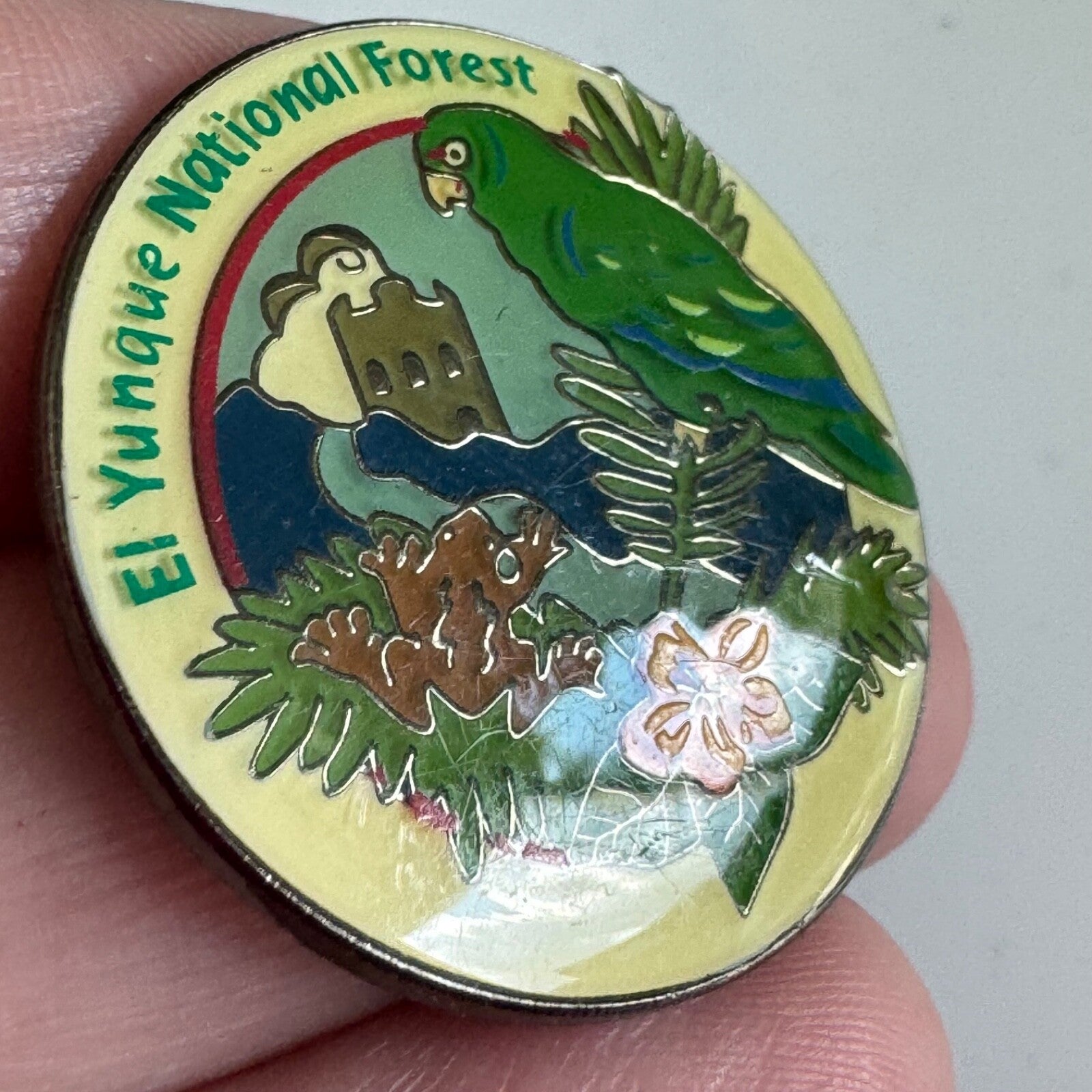 Vintage El Yunque National Forest Lapel Pin Puerto Rico