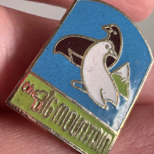 Vintage The Big Mountain Ski Skiing Lapel Pin Whitefish Montana 