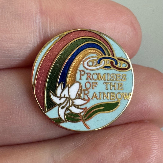 Vintage Daughters of Rebekah Promises of the Rainbow Lapel Pin