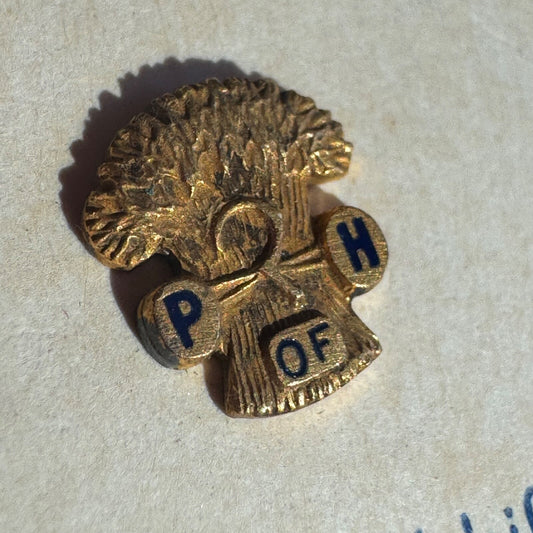 Vintage Grange Pin on Original Card Mutual Life Insurance Screw Back