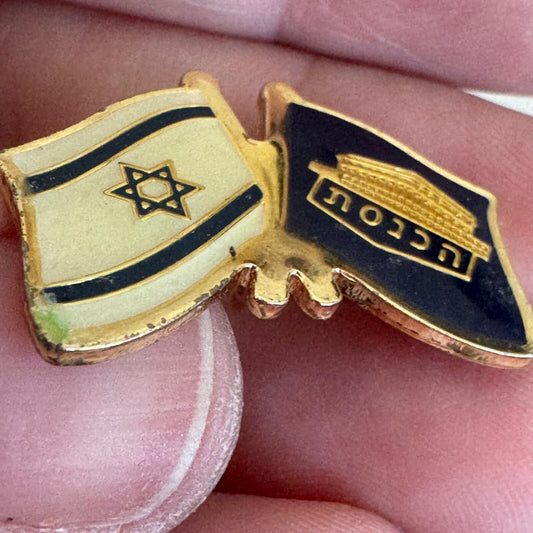 Vintage Israel Knesset Parliament Crossed Flags Lapel Pin