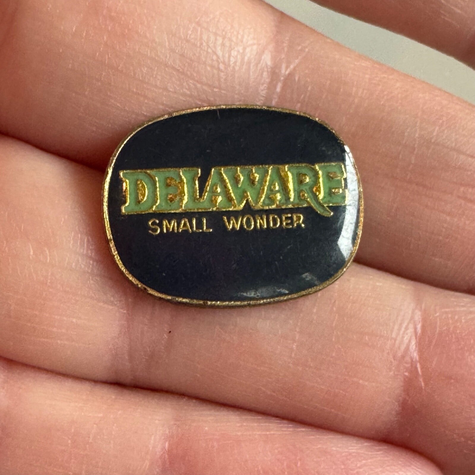 Vintage Delaware Small Wonder Souvenir Tourist Lapel Pin 