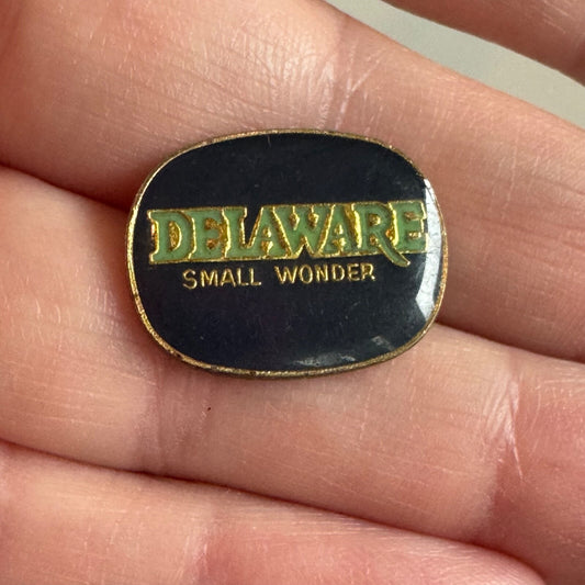 Vintage Delaware Small Wonder Souvenir Tourist Lapel Pin 