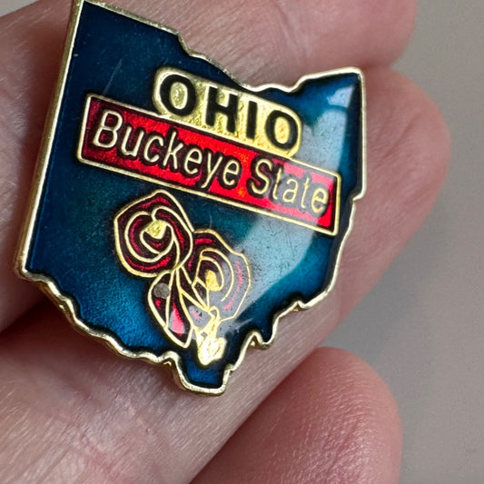 Vintage Ohio Buckeye State Souvenir Tourist Lapel Pin 
