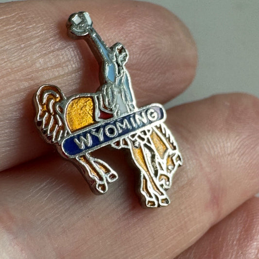 Fantastic Vintage Wyoming Cowboy State Lapel Pin Color Enamel