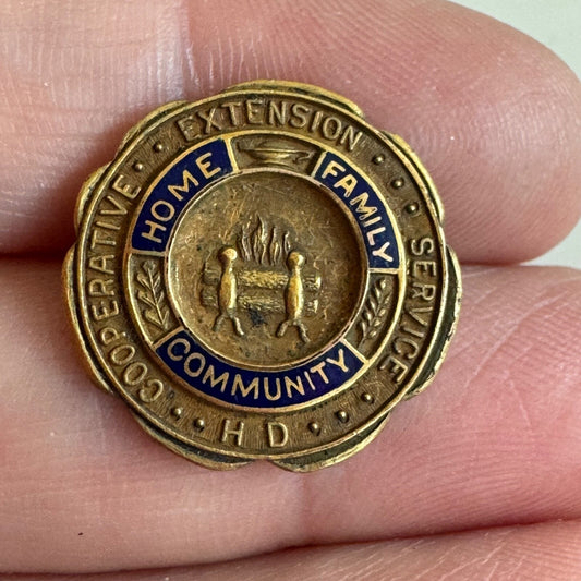 HD Cooperative Extension Service 1/10 10k GF Lapel Pin