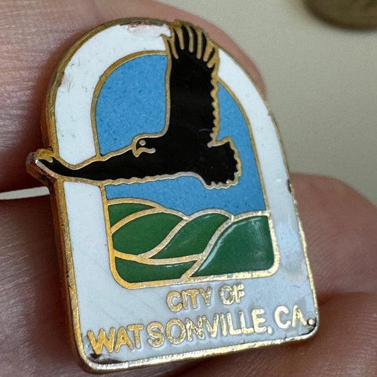 Vintage City of Watsonville California Eagle Pin Rare