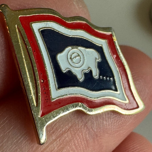 Vintage Wyoming Flag Enamel Lapel Pin