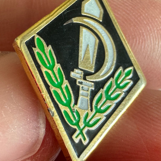 Vintage Israeli Defense Force Nahal Command Lapel Pin 