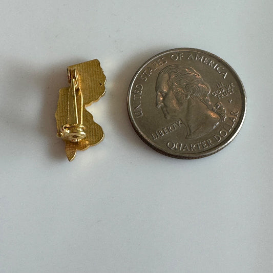 Vintage New Jersey State Shape Pin with Bird Blue and Gold Enamel Souvenir Nice!