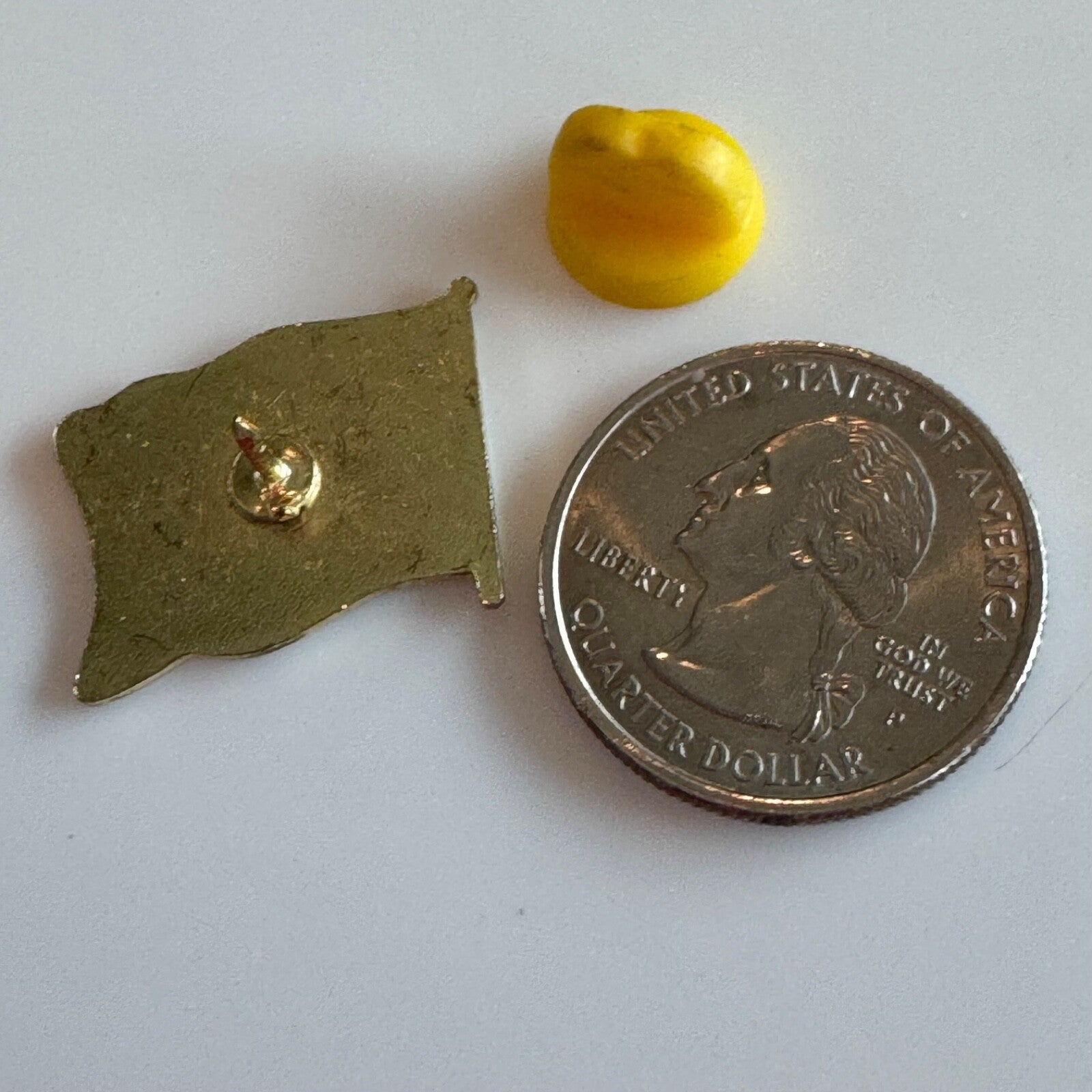 Vintage North Carolina State Flag Souvenir Lapel Pin