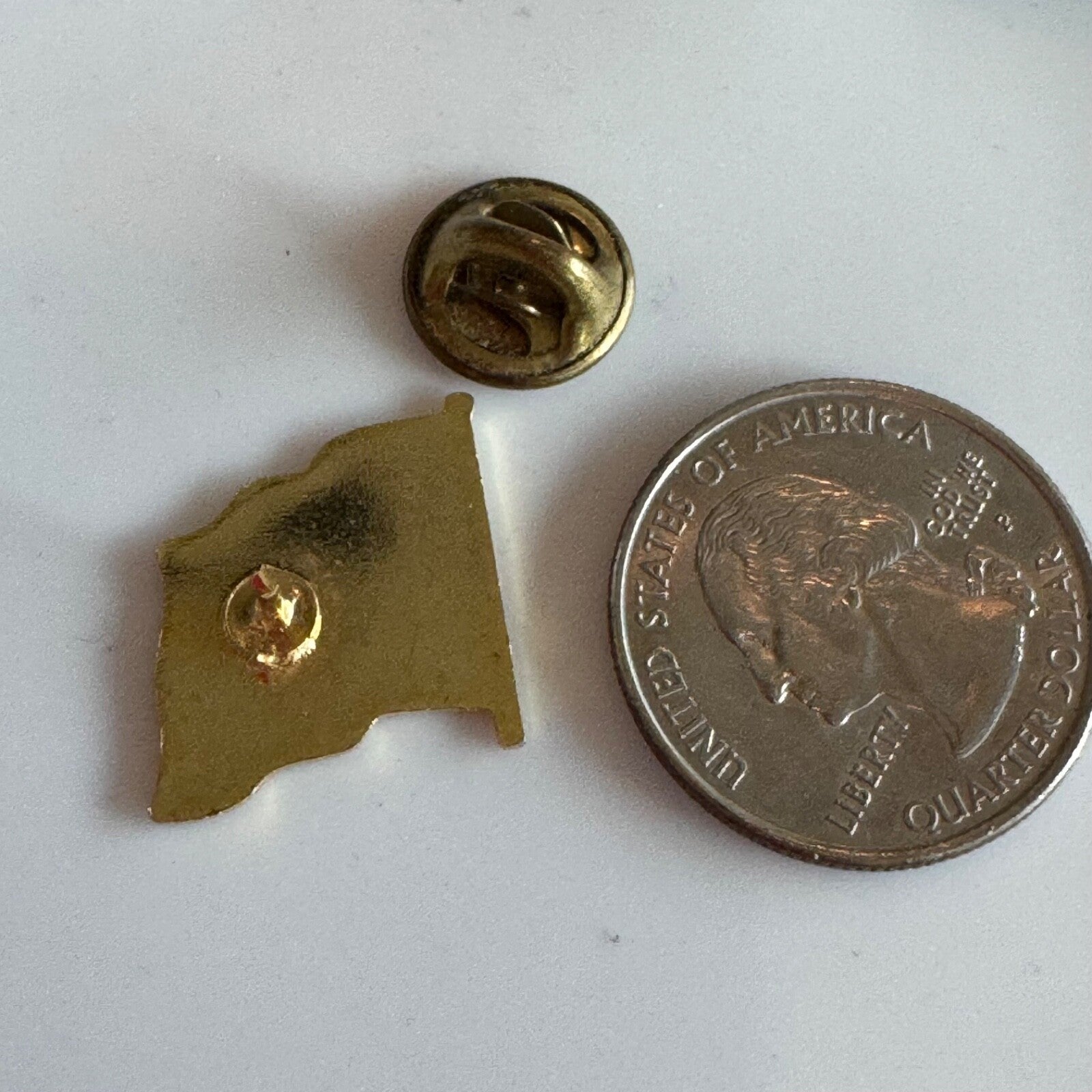 Vintage Montana State Flag Enamel Lapel Pin