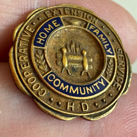 HD Cooperative Extension Service 1/10 10k GF Lapel Pin