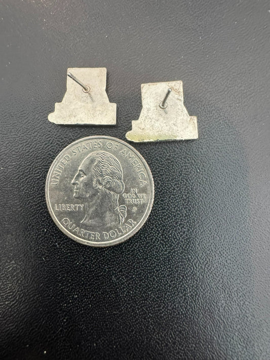 University of Arizona Wildcats Earrings