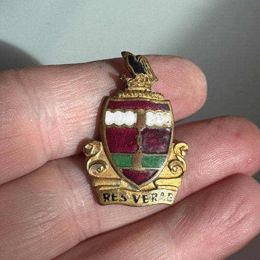 WW2 US ARMY MILITARY 205TH COAST ARTILLERY REGIMENT DISTINCTIVE DUI DI CREST PIN