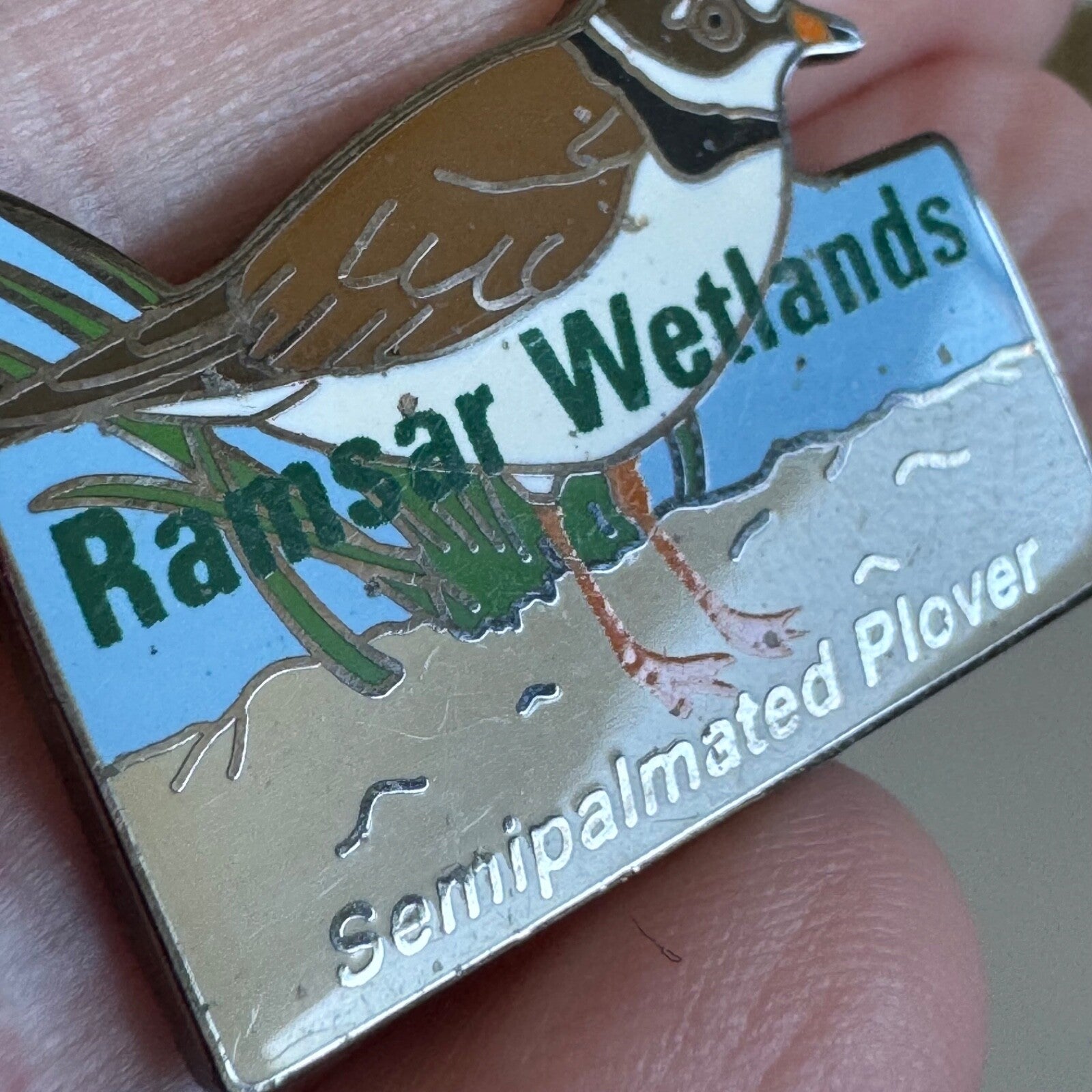 Vintage Ramsar Wetlands Semipalmated Plover Bird Pin RARE