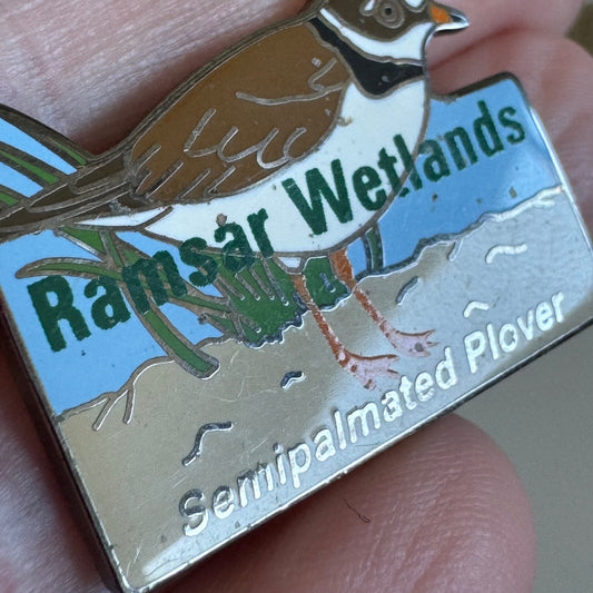 Vintage Ramsar Wetlands Semipalmated Plover Bird Pin RARE