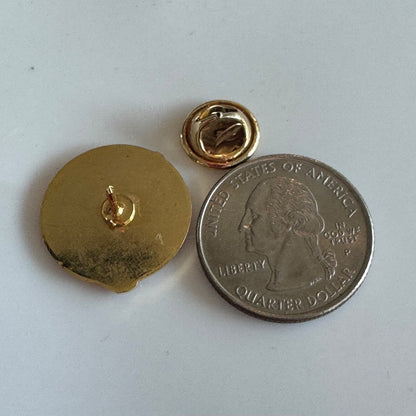 Vtg Licensed Practical Nurses Association of Florida Enamel Pin Healthcare Badge