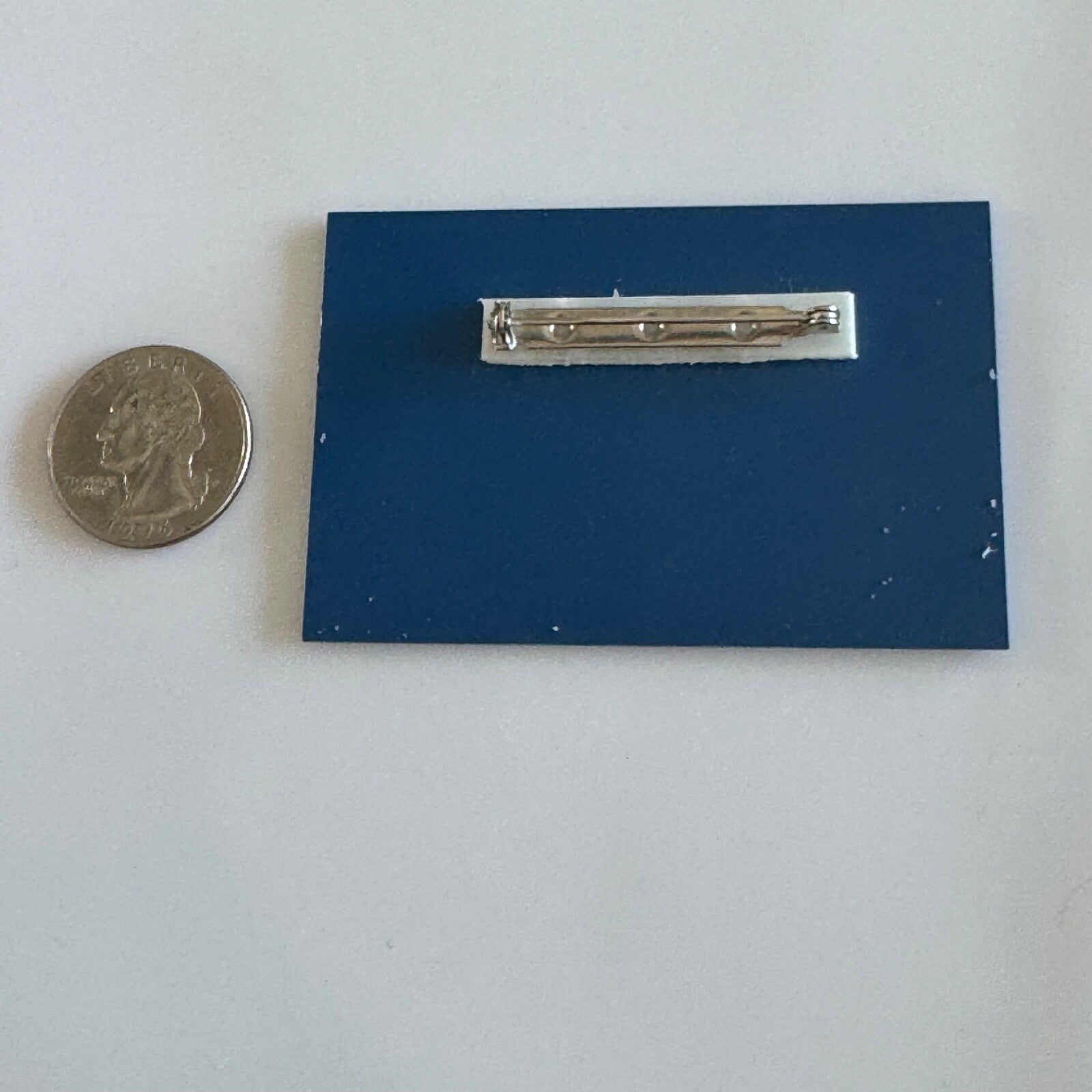 Vintage The Paddlewheel Steamboatin' Society of America Name Tag Pin