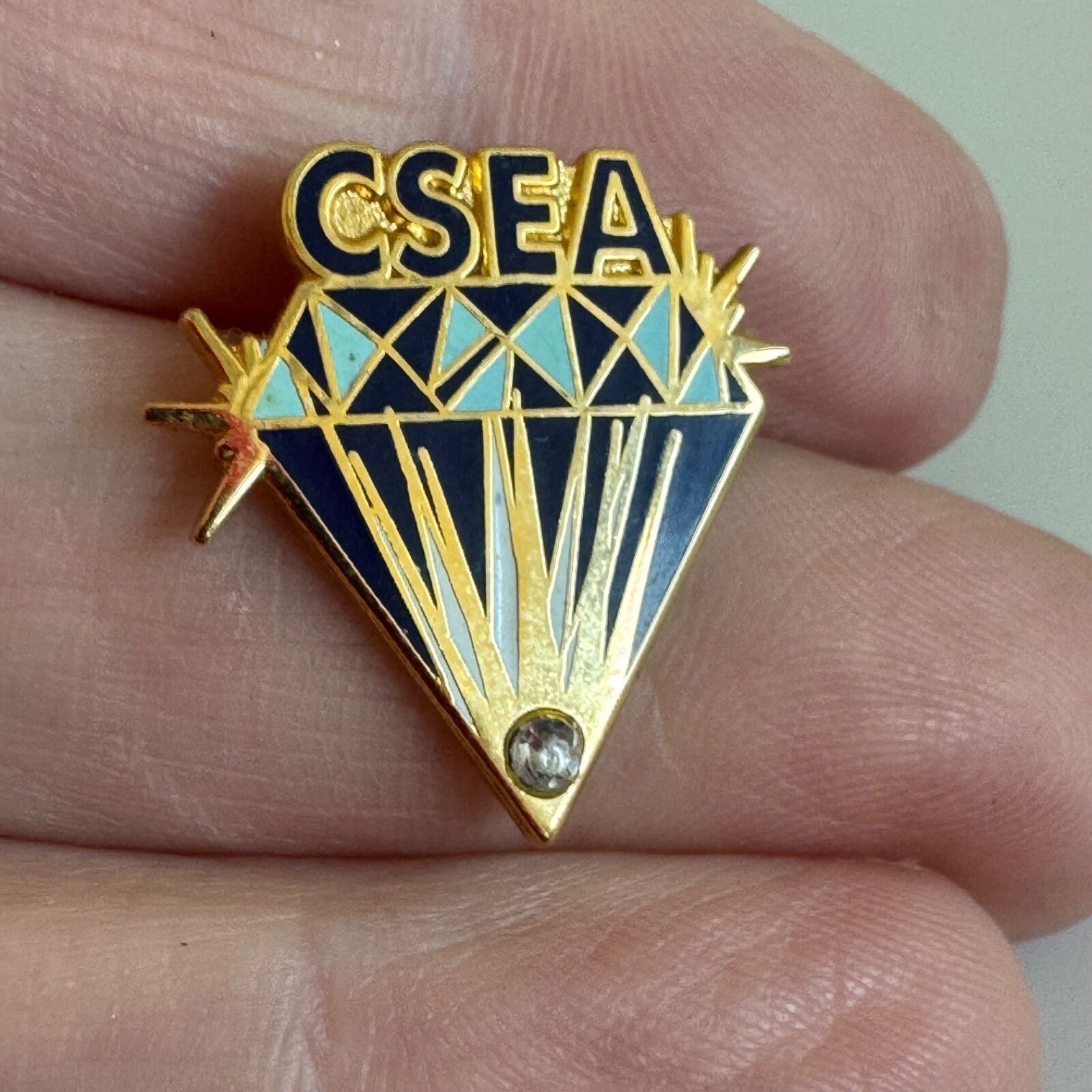 Vintage California School Employees Assn CSEA Union Achievement Award Pin