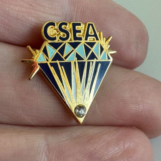 Vintage California School Employees Assn CSEA Union Achievement Award Pin