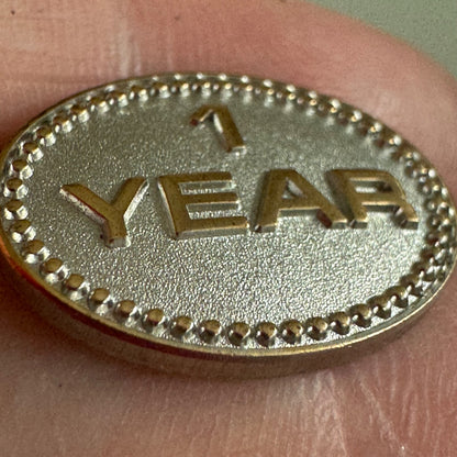 1 Year Lapel Pin Employee Service Nice Silver Gold