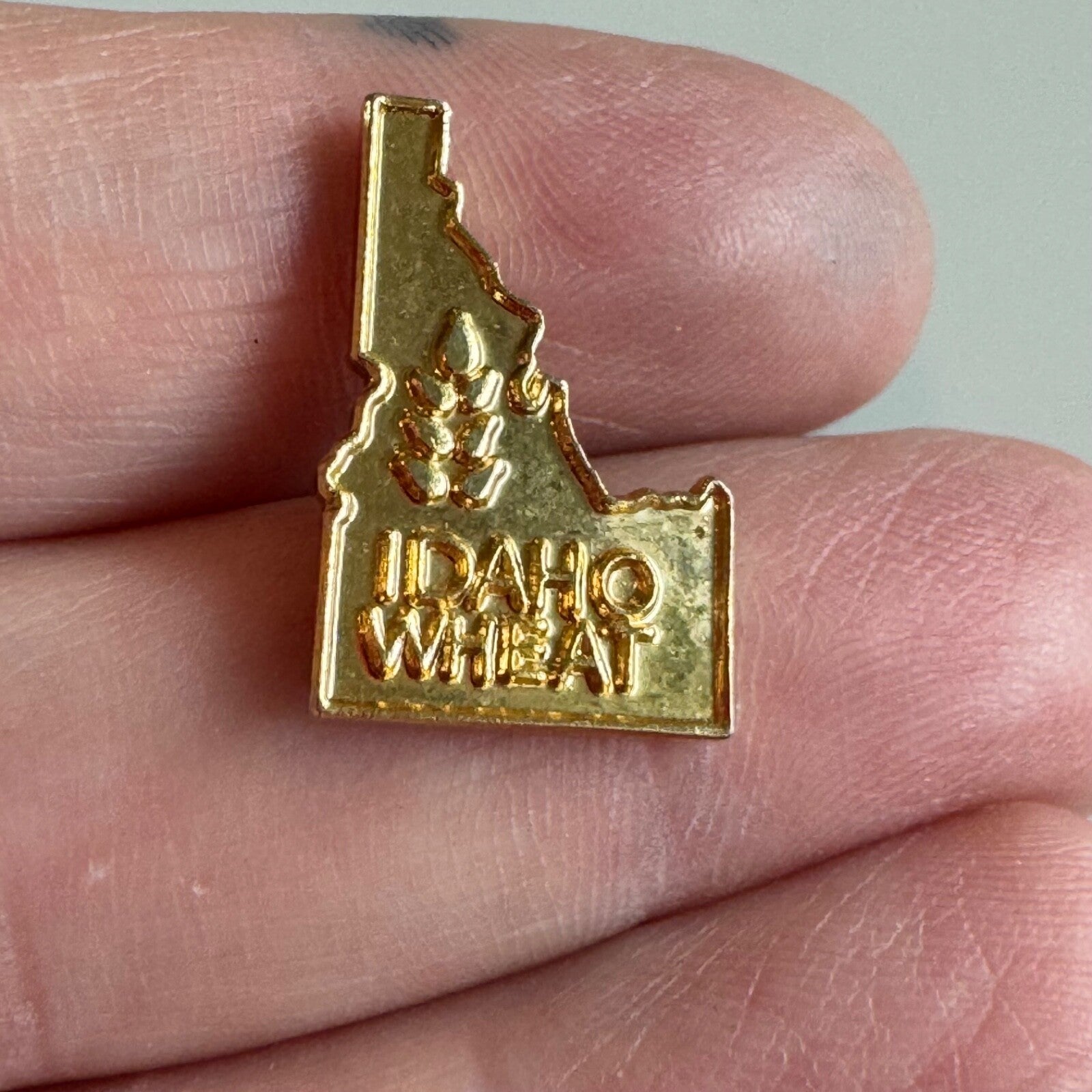 Vintage Illinois United States Friendship Crossed Flags Lapel Pin