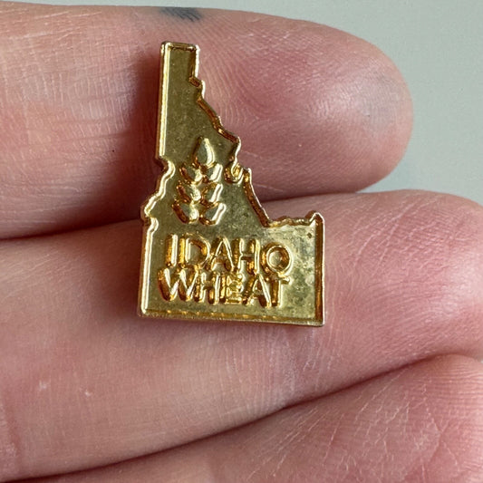 Vintage Illinois United States Friendship Crossed Flags Lapel Pin