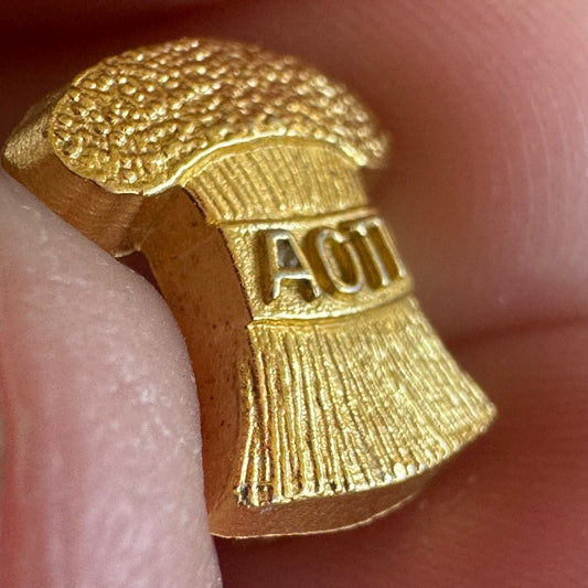 Vintage Alpha Omicron Pi Pledge Pin New Member 