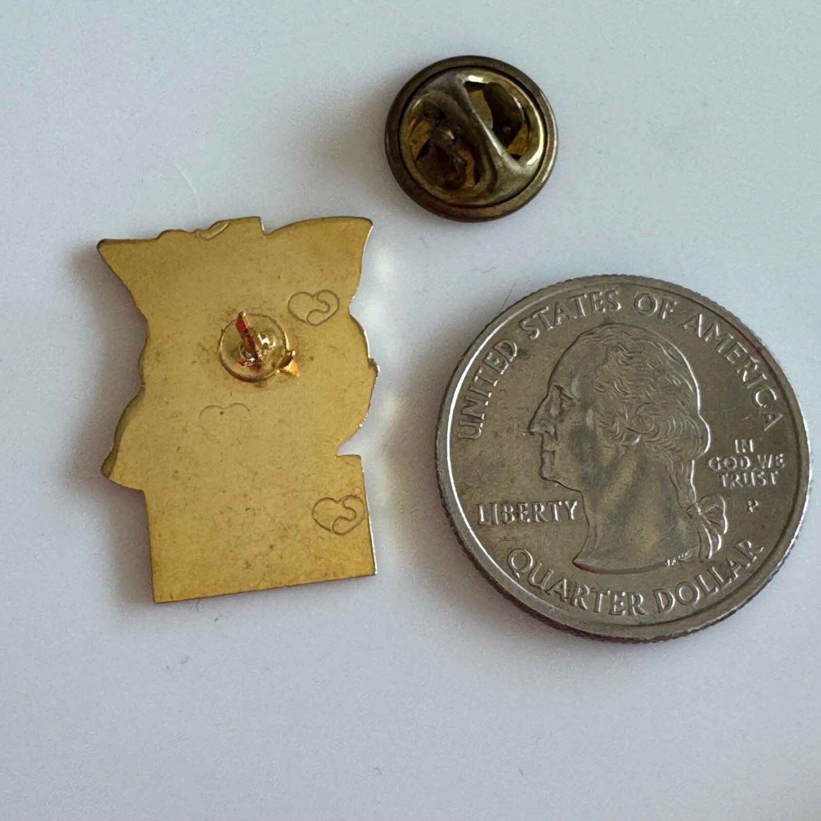 Vintage St. Rose Hospital Lapel Pin